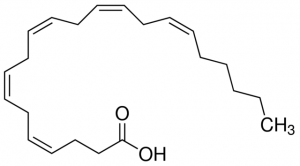 all-cis-4,7,10,13,16-Docosapentaenoic acid 