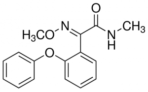 (E)-Metominostrobin 