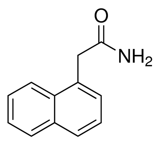 1-Naphthylacetamide 