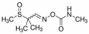 Aldicarb-sulfoxide 68737-100MG