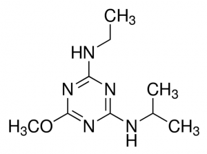 Atraton 