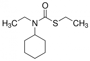 Cycloate CRM69034-100MG
