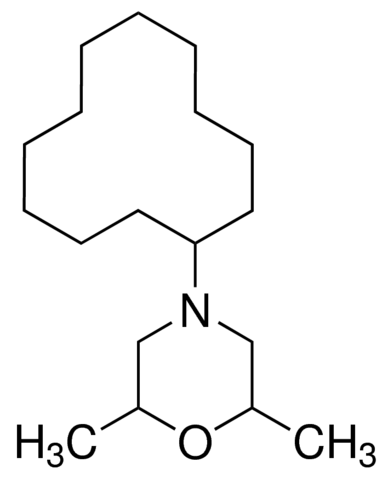 Dodemorph 1344-100MG