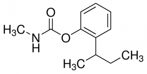 Fenobucarb 