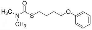 Fenothiocarb 