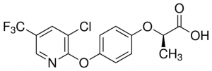 Haloxyfop-P 