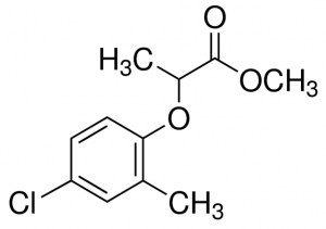 Mecoprop methyl ester 