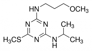 Methoprotryne 