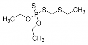 Phorate 44998-100MG