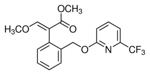 Picoxystrobin 