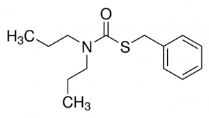 Prosulfocarb 36431-100MG