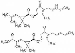 Pyrethrum extract 