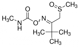 Thiofanox-sulfoxide 