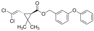 trans-Permethrin solution 