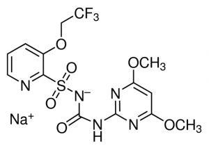Trifloxysulfuron sodium salt 