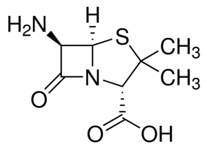(+)-6-Aminopenicillanic acid 