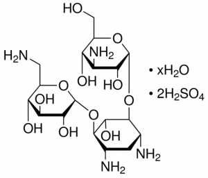 Canamycin A disulfate salt hydrate 