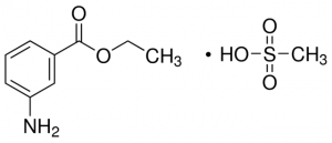 Ethyl 3-aminobenzoate methanesulfonate salt 