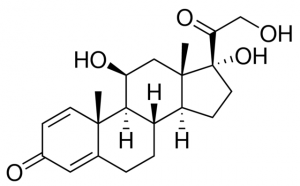Prednisolone 