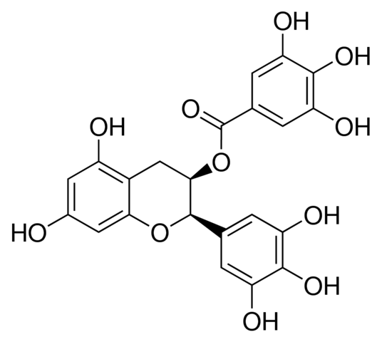 ()-Epigallocatechin-3-O-gallate Y0001936