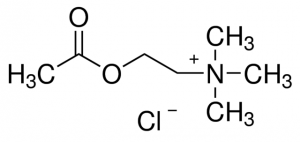 Acetylcholine chloride 1008501-200MG