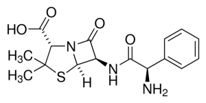 Ampicillin 1033000-200MG