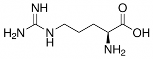Arginine 