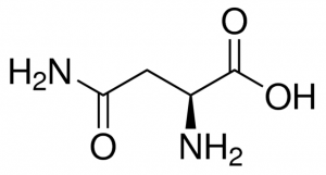 Asparagine anhydrous 1043502-200MG