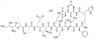 Bacitracin zinc 1048007-200MG