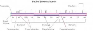 BSA for protein quantitation 1076192-5X1ML