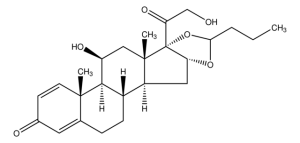 Budesonide 1078201-200MG