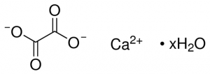 Calcium oxalate monohydrate 