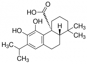 Carnosic acid 1096746-20MG