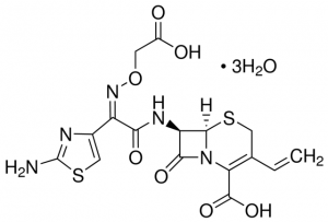 Cefixime 1097658-500MG