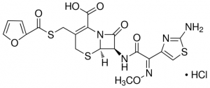 CEFTIOFUR HYDROCHLORIDE 1098071-100MG