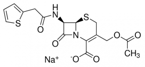 Cephalothin sodium 1102000-200MG