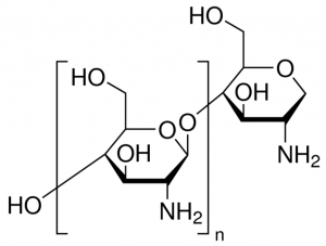 Chitosan 1105508-500MG