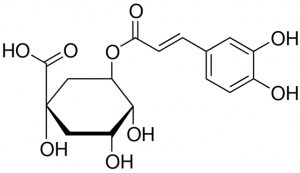 Chlorogenic acid 1115545-50MG