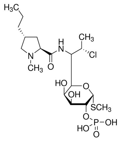 Clindamycin phosphate 