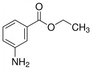 Ethyl 3-aminobenzoate PHR9021-100MG