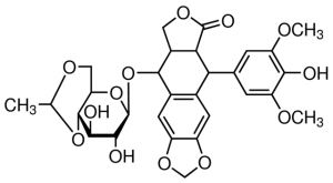 Etoposide 