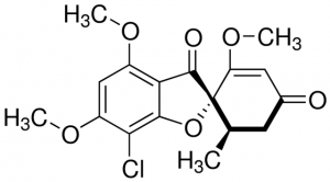 Griseofulvin for LC assay and identification Y0002046