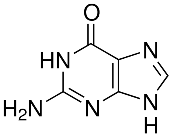 Guanine 1302156-100MG