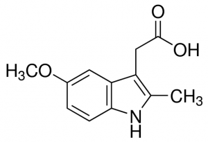 Indomethacin Related Compound A 1417113-25MG