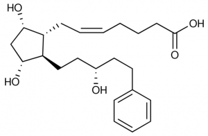 Latanoprost Related Compound E 1357533-25MG