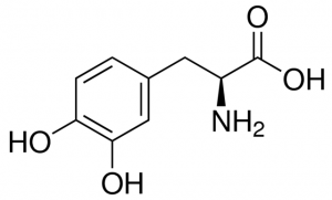 Levodopa 1361009-200MG