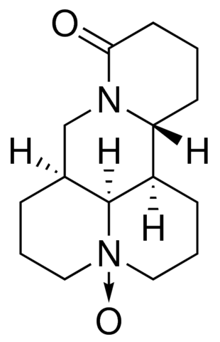 Oxymatrine Y0002015