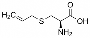 S-Allyl-L-cysteine 1013057-25MG