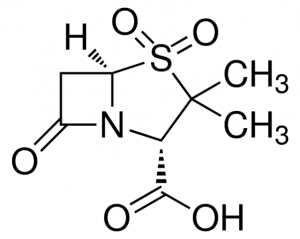 Sulbactam for peak identification 