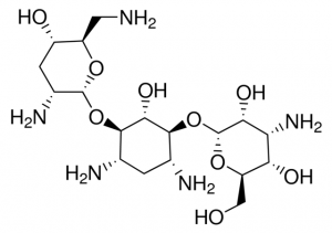 Tobramycin BP333